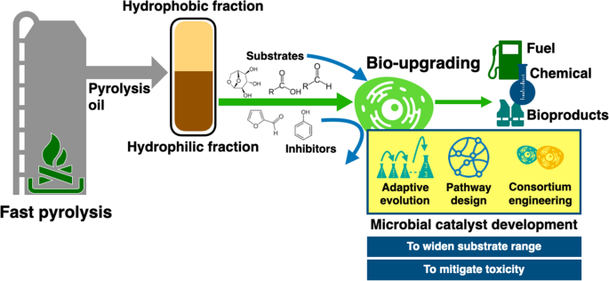 Electrochemical transformations of fast pyrolysis bio-oils and related bio- oil compounds