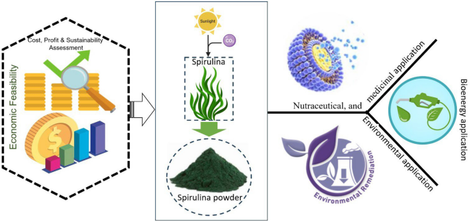 A review on techno-economic assessment of Spirulina for sustainable  nutraceutical, medicinal, environmental, and bioenergy applications |  Bioresources and Bioprocessing