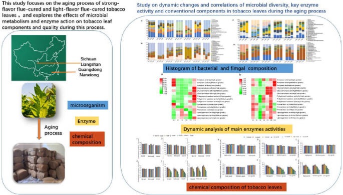 Study on dynamic changes and correlations of microbial diversity, key  enzyme activity and conventional components in tobacco leaves during the aging  process | Bioresources and Bioprocessing