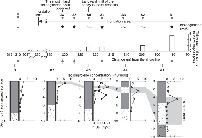 File:Shindo observation density comparison - 2005 Miyagi-oki earthquake.png  - Wikipedia