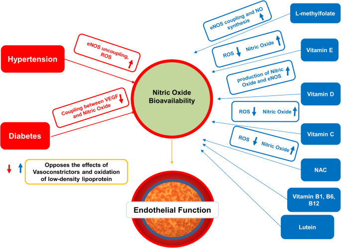 https://media.springernature.com/m685/springer-static/image/art%3A10.1186%2Fs40662-020-00199-y/MediaObjects/40662_2020_199_Fig2_HTML.png