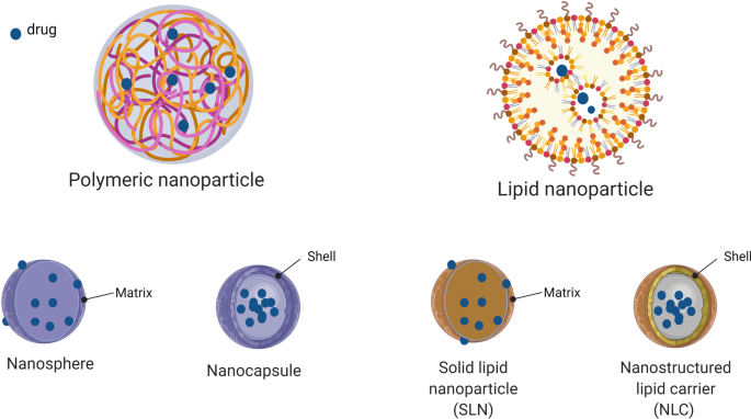 Amination-mediated nano eye-drops with enhanced corneal permeability and  effective burst release for acute glaucoma treatment - ScienceDirect