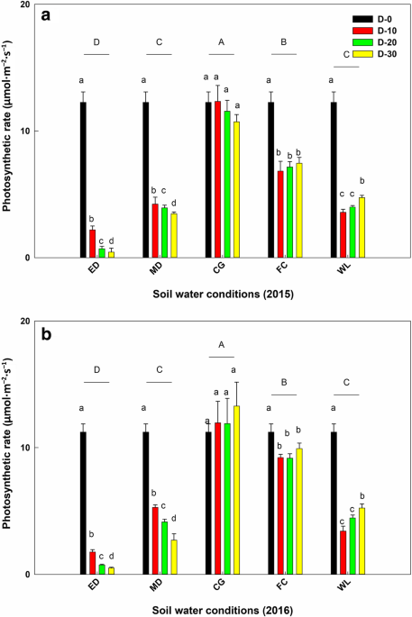 Double stress of waterlogging and drought drives forest–savanna