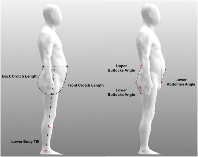 Categorization of lower body shapes of abdominal obese men using a  script-based 3D body measurement software, Fashion and Textiles