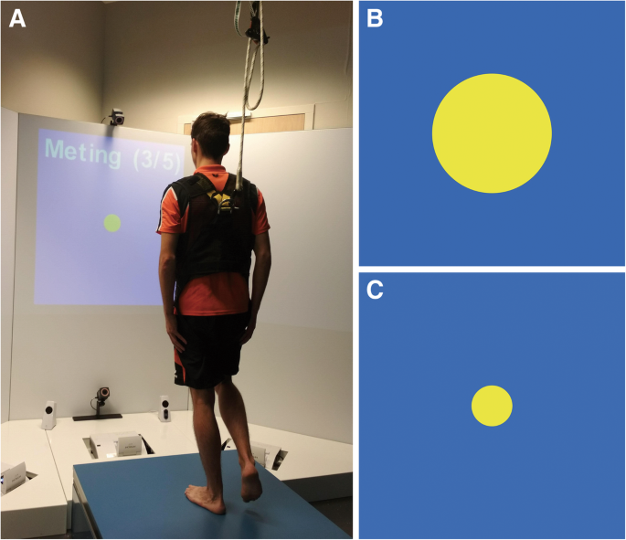 Toward more reliable stability measurements in stance: recommendations for  number of measurements, foot position and feedback -- a cross-sectional  study among servicemen | Military Medical Research | Full Text
