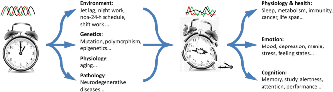 Sample - Working Nights™ Newsletter for Shift Workers - Circadian