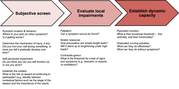 The Assessment, Management and Prevention of Calf Muscle Strain Injuries: A Qualitative Study of the Practices and Perspectives of 20 Expert Sports Clinicians