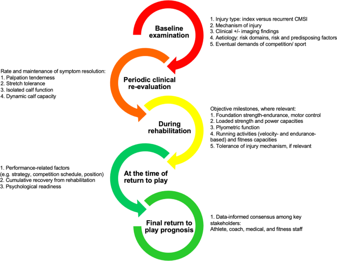 The Assessment, Management and Prevention of Calf Muscle Strain Injuries: A  Qualitative Study of the Practices and Perspectives of 20 Expert Sports  Clinicians, Sports Medicine - Open