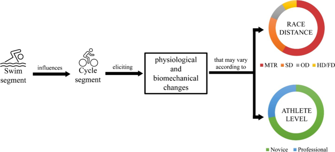 Interlink Between Physiological and Biomechanical Changes in the