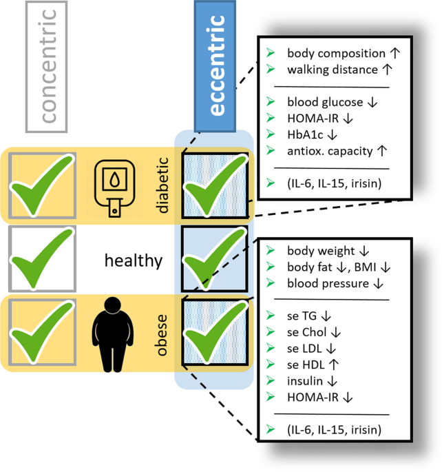 Effect of Eccentric Exercise on Metabolic Health in Diabetes and Obesity, Sports Medicine - Open
