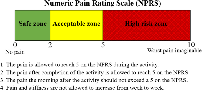 Pain-guided activity modification during treatment for patellar tendinopathy: a feasibility and pilot randomized clinical trial | Pilot and Feasibility Studies | Springer Nature Link