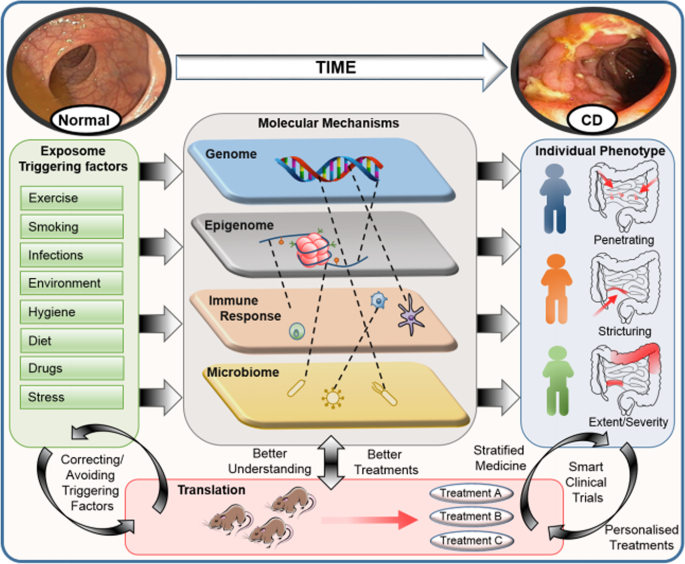 glutathione crohns disease The role of diosgenin in crohn's disease | Clinical Phytoscience