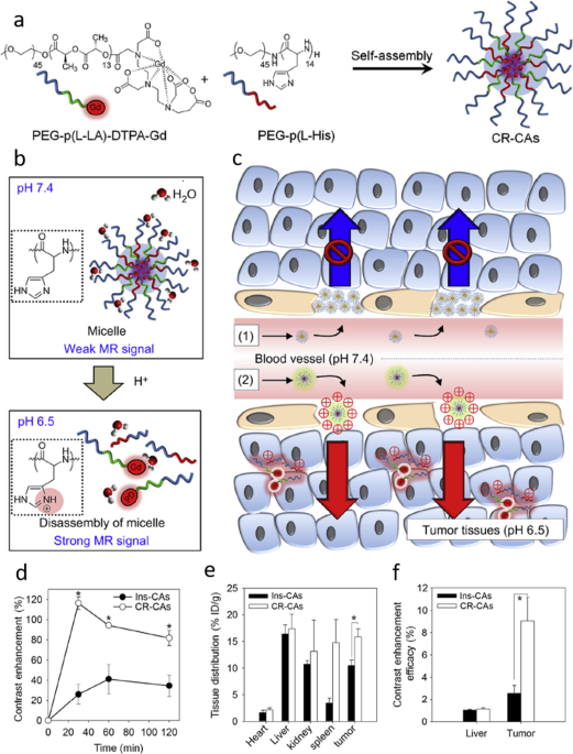 MRI Contrast Agents Clinical Applications 