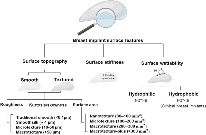 How the surfaces of silicone breast implants affect the immune system, MIT  News