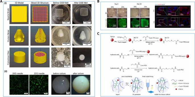 PDF) Bioprinting Applications in Craniofacial Regeneration