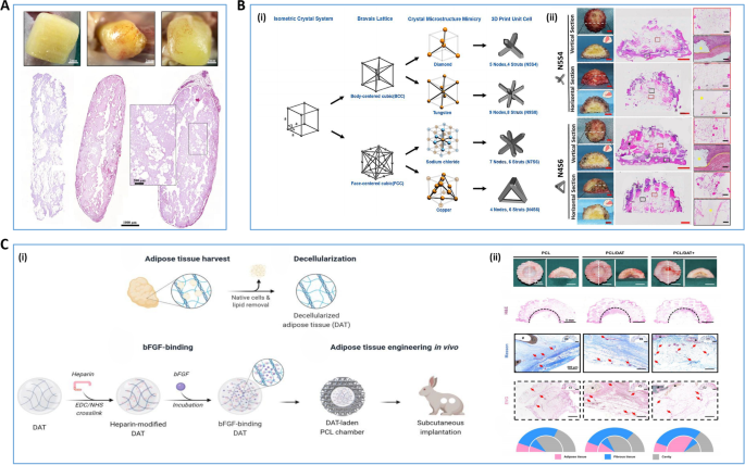 PDF) Bioprinting Applications in Craniofacial Regeneration