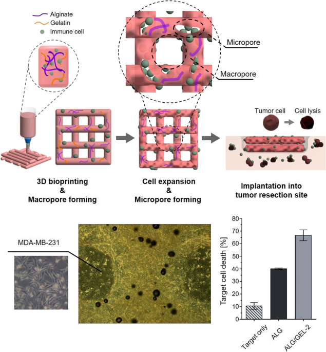 https://media.springernature.com/m685/springer-static/image/art%3A10.1186%2Fs40824-023-00403-9/MediaObjects/40824_2023_403_Figa_HTML.png