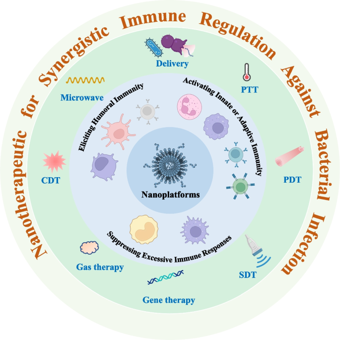 Nanotherapeutics with immunoregulatory functions for the treatment of  bacterial infection | Biomaterials Research | Full Text