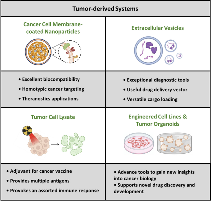 Cells at Work!'s Cancer Cell Gains Regulartory T Cell as an Ally