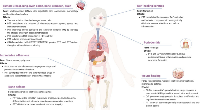 Review of chemo‐responsive shape change/memory polymers