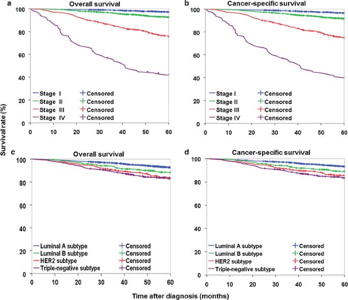 The influence of stage at diagnosis and molecular subtype on breast cancer  patient survival: a hospital-based multi-center study | Cancer  Communications | Full Text