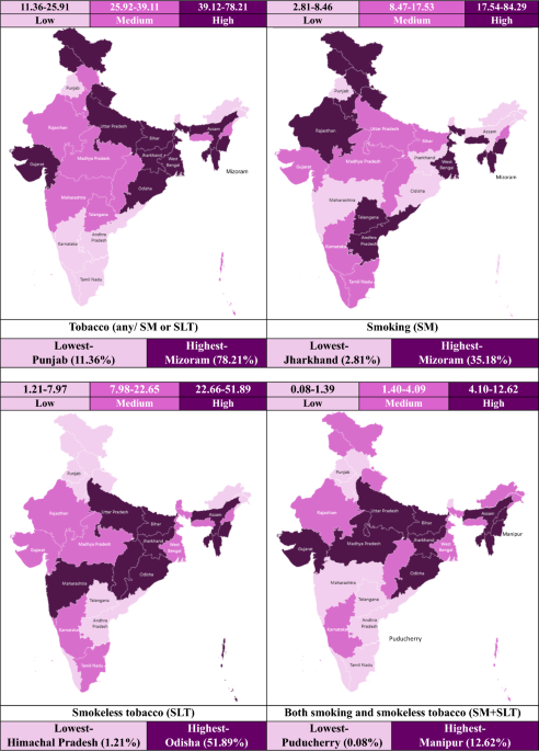 Nested multilevel modelling study of smoking and smokeless tobacco  consumption among middle aged and elderly Indian adults: distribution,  determinants and socioeconomic disparities | Journal of Health, Population  and Nutrition