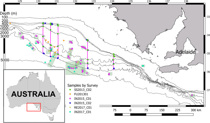 A compiled key to the recent Stomatopoda of the Indo-West Pacific region