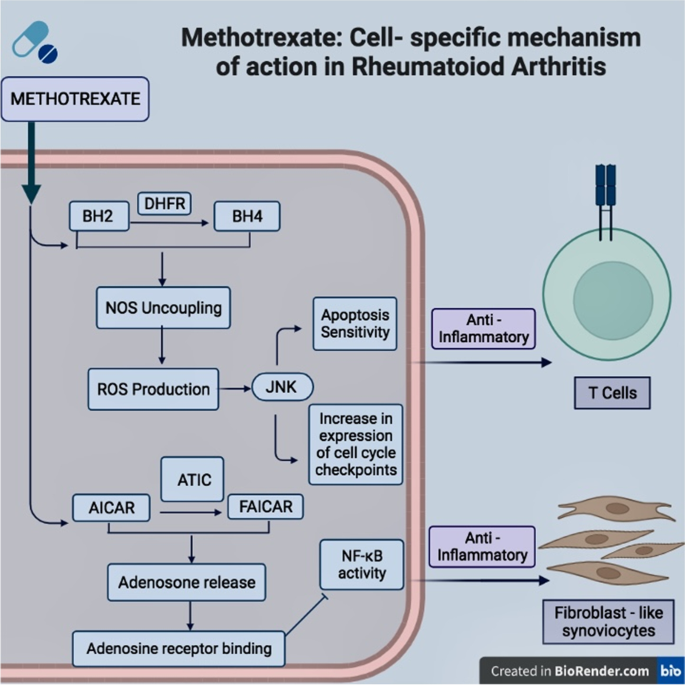 increasing glutathione synthesis 5 Route of synthesis of glutathione (GSH) involving three amino acids