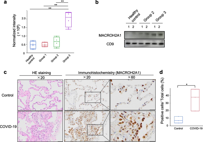 https://media.springernature.com/m685/springer-static/image/art%3A10.1186%2Fs41232-022-00243-5/MediaObjects/41232_2022_243_Fig2_HTML.png