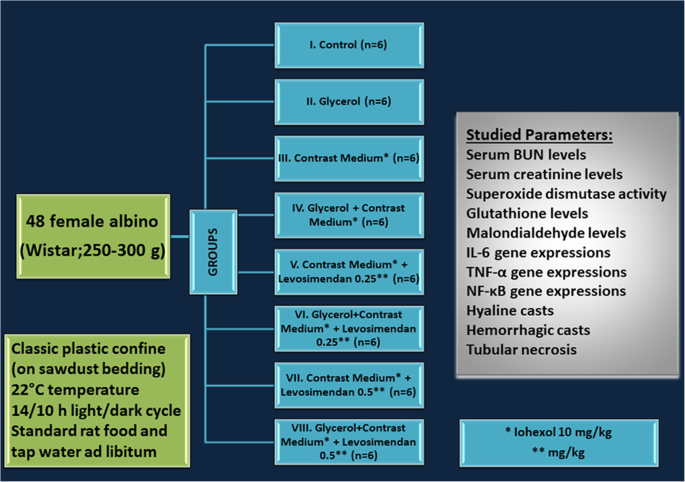 glycerol and glutathione Does the cardiovascular drug levosimendan prevent iodinated contrast medium  nephrotoxicity with glycerol aggravation in rats? | European Radiology  Experimental