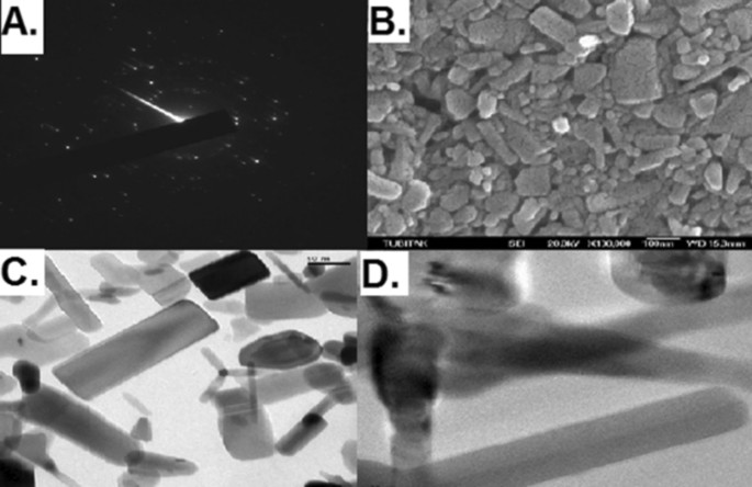 Effects of zinc oxide nanoparticles (ZnO NPs) on the biology of Galleria mellonella L. (Lepidoptera: Pyralidae)