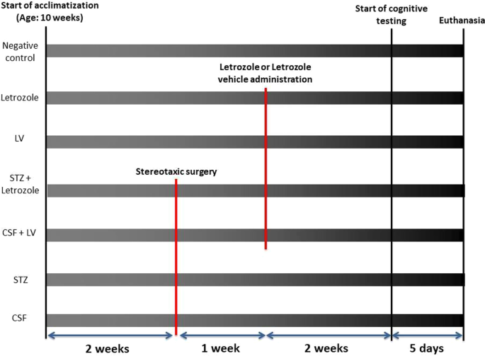 retatrutide companies Retatrutide Peptide Side Effects: My Honest 12-Week Diary and What Every  User Should Know