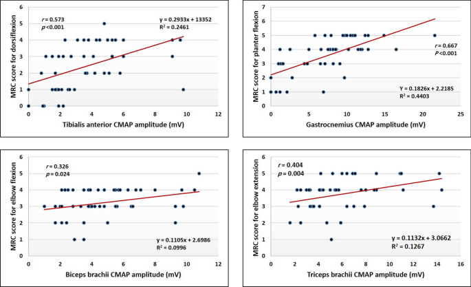 Split limb phenomenon in amyotrophic lateral sclerosis: electrophysiologic study