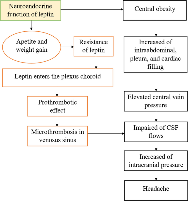 glp 1 idiopathic intracranial hypertension Idiopathic intracranial hypertension: from concise history to current  management | The Egyptian Journal of Neurology, Psychiatry and Neurosurgery