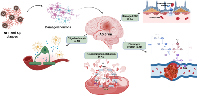 Exploring non-canonical targets in Alzheimer's disease: a departure from  the norm | The Egyptian Journal of Neurology, Psychiatry and Neurosurgery |  Springer Nature Link