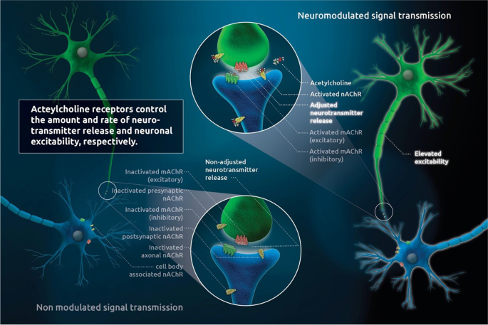 bioelecmed.biomedcentral.com
