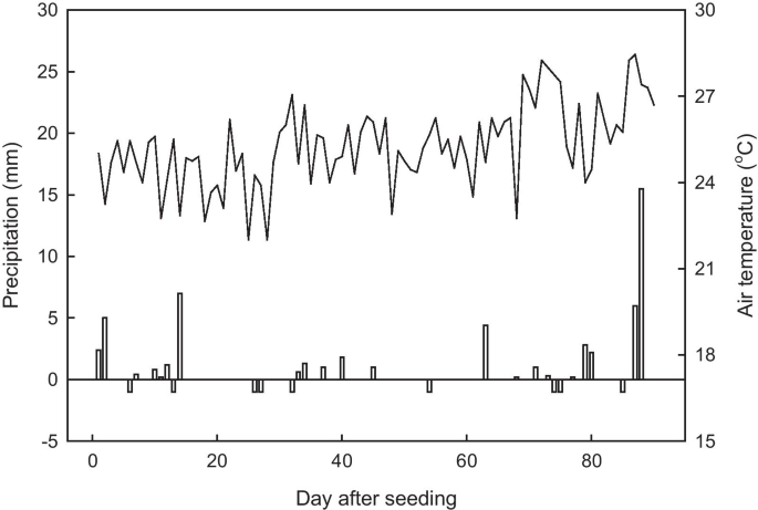 Effects of fertilization on crop production and nutrient-supplying capacity  under rice-oilseed rape rotation system