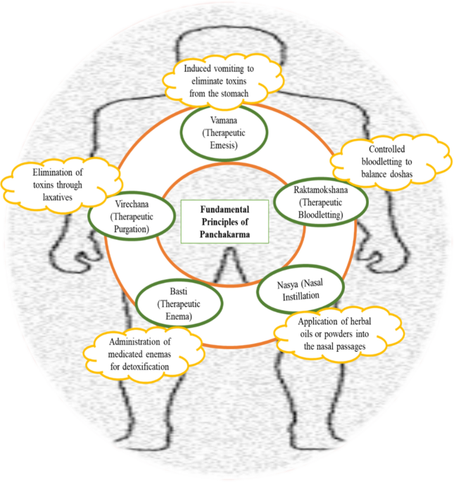 Exploring Ayurveda: principles and their application in modern medicine |  Bulletin of the National Research Centre | Springer Nature Link