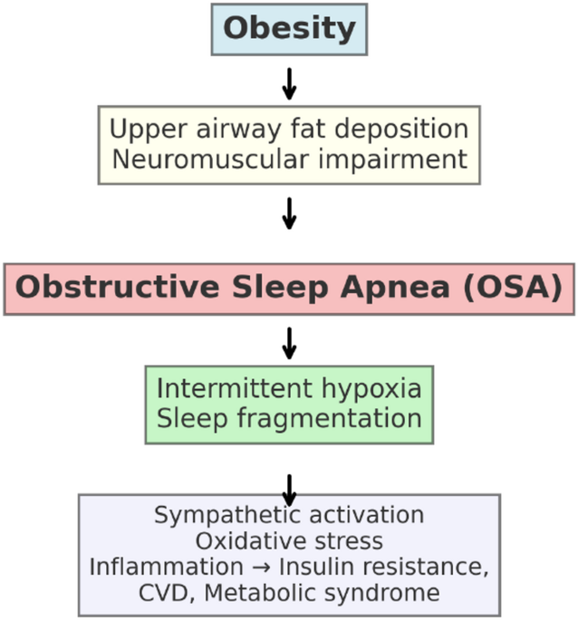 semaglutide and osa The role of bariatric and metabolic surgery in the management of obstructive sleep apnea and obesity: a narrative review | Bulletin of the National Research Centre