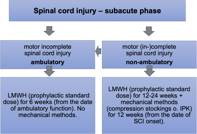 Prevention of thromboembolism in spinal cord injury -S1 guideline |  Neurological Research and Practice | Full Text
