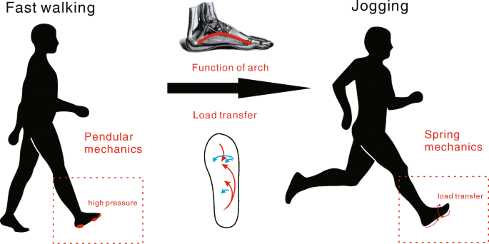 Running vs. Jogging: What's the Difference?