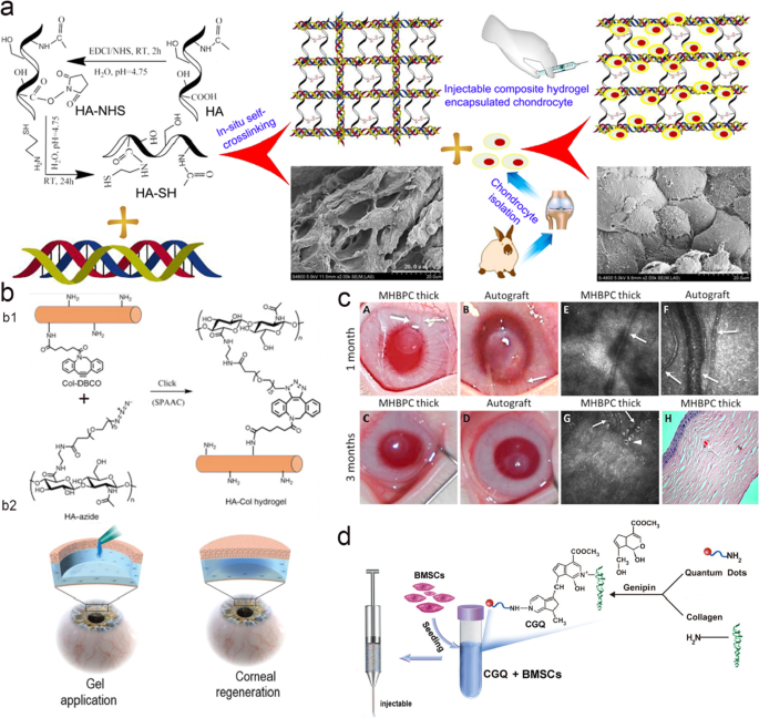 PDF) Identification of collagen-based materials that are supports