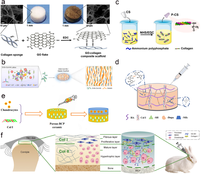 PDF) Identification of collagen-based materials that are supports