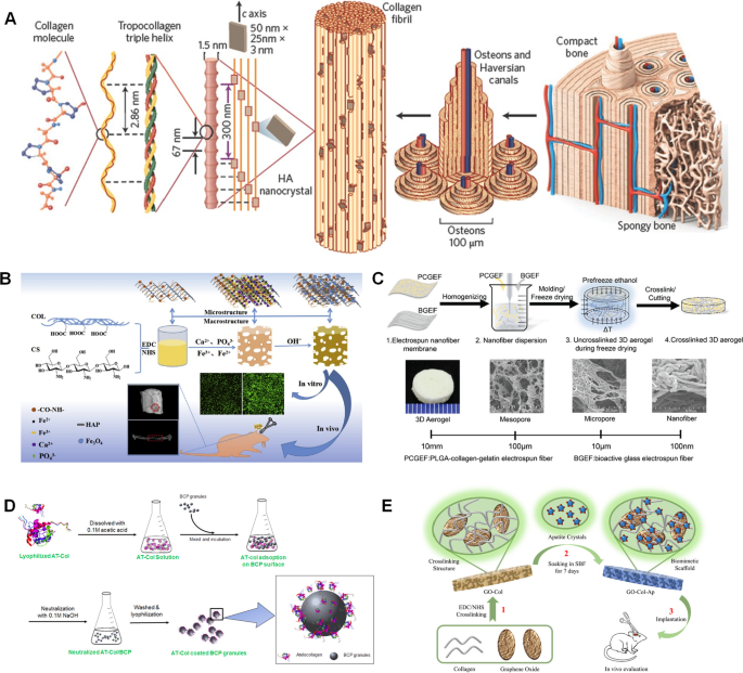 PDF) Bioprinting Applications in Craniofacial Regeneration