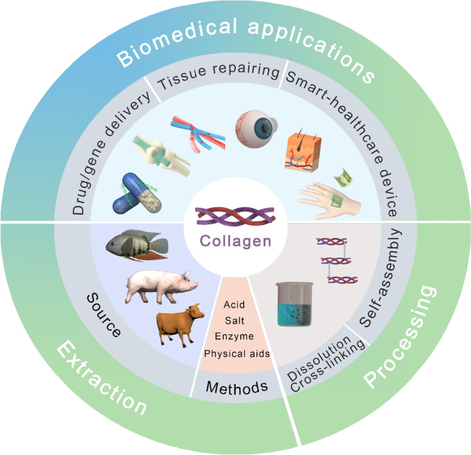 A comprehensive review on peptide-bearing biomaterials: From ex