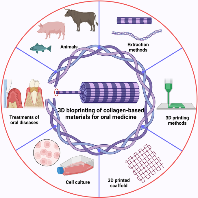 PDF) Bioprinting Applications in Craniofacial Regeneration