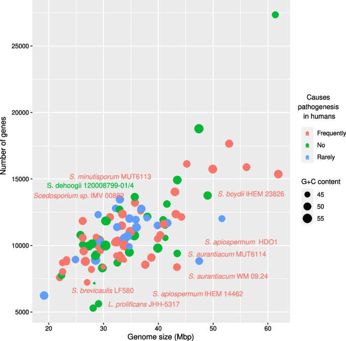 The genomes of Scedosporium between environmental challenges and opportunism