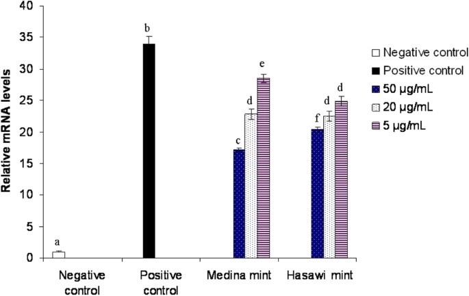 Antioxidant activity of mint extracts determined through the