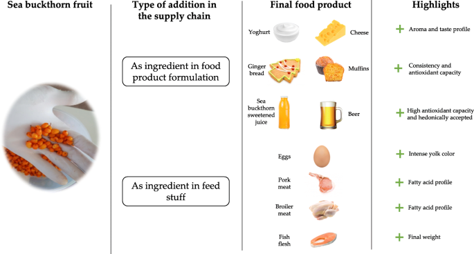 does sea buckthorn juice have glutathione Potential of sea buckthorn-based ingredients for the food and feed industry  – a review | Food Production, Processing and Nutrition
