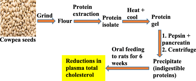 Cholesterol-Lowering Activity of Tartary Buckwheat Protein